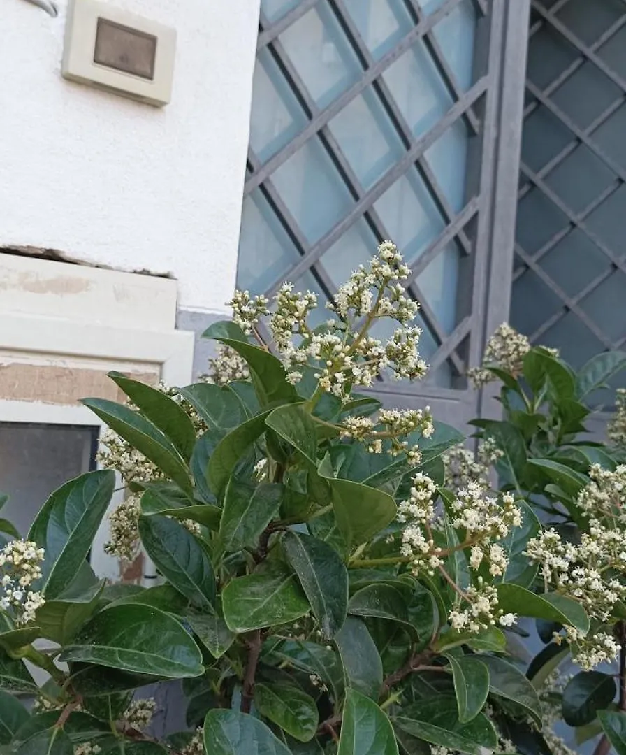 La Casetta Di Marta Ai Quattro Canti Palermo 0*,  Italy